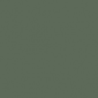 N125 Smoke Green