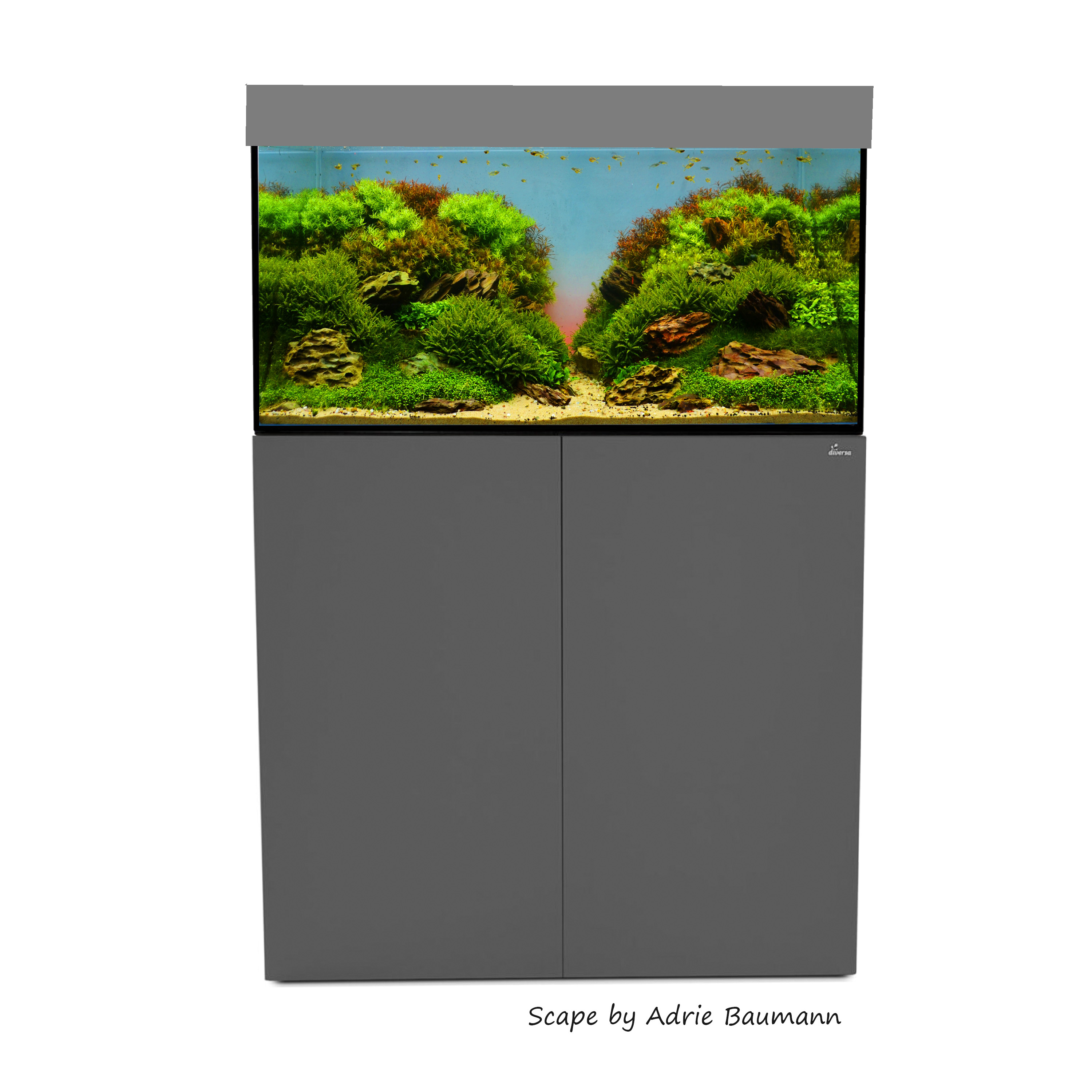 Aquariumkombination Basic 100 cm Anthrazid