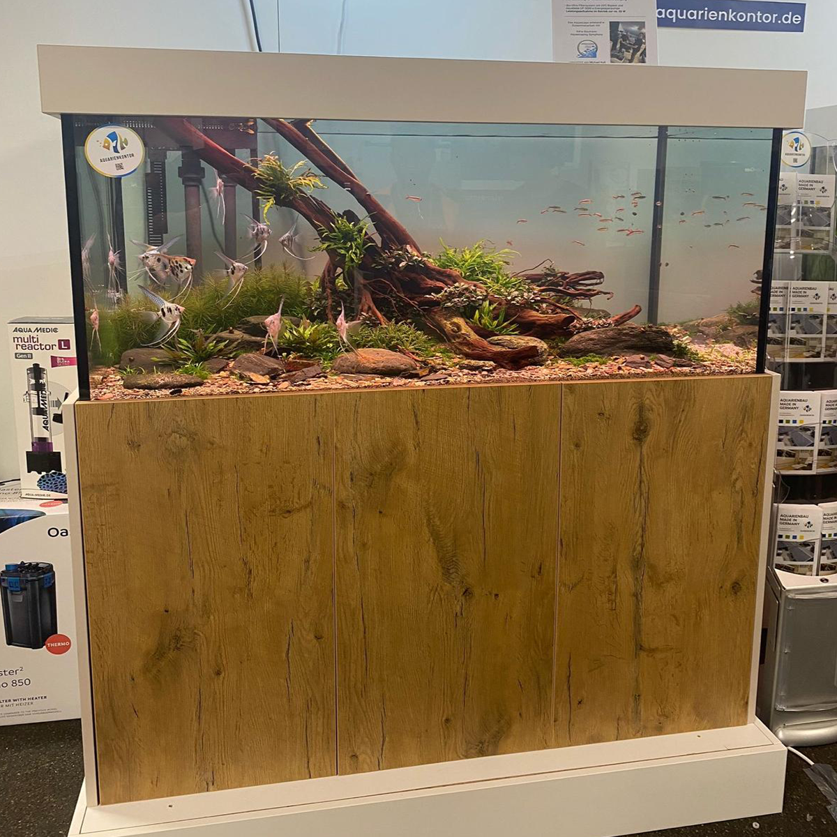 Aquariumkombination Flex Pale Lancelot Oak Front