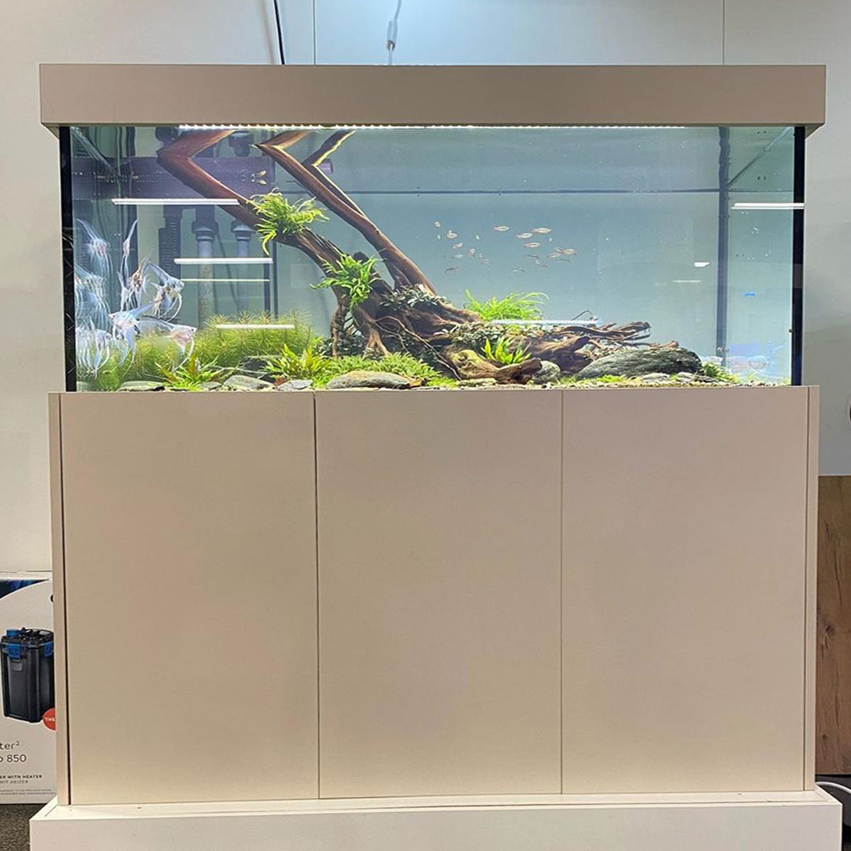 Aquariumkombination Flex im Dekor Kaschmir