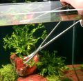 Pflanzenzubeh�r