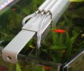 Scaping-Light basic Wasserk�hlungen