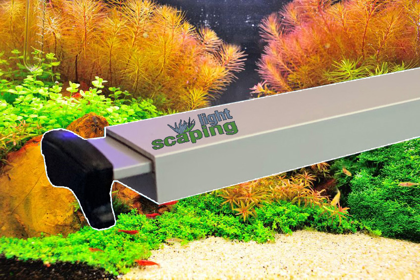 Scaping-Light basic RGB LED (dimmbares System) für Pflanzen- aquarien - CRW