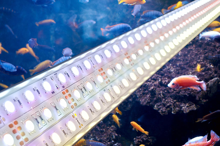 Scaping-Light basic RGB (dimmbar System) für Barschaquarien CRC