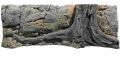Miniamazonas Aquariumr�ckwand