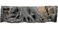 Amazonas Aquariumr�ckwand