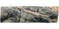 Tanganjika Aquariumr�ckwand