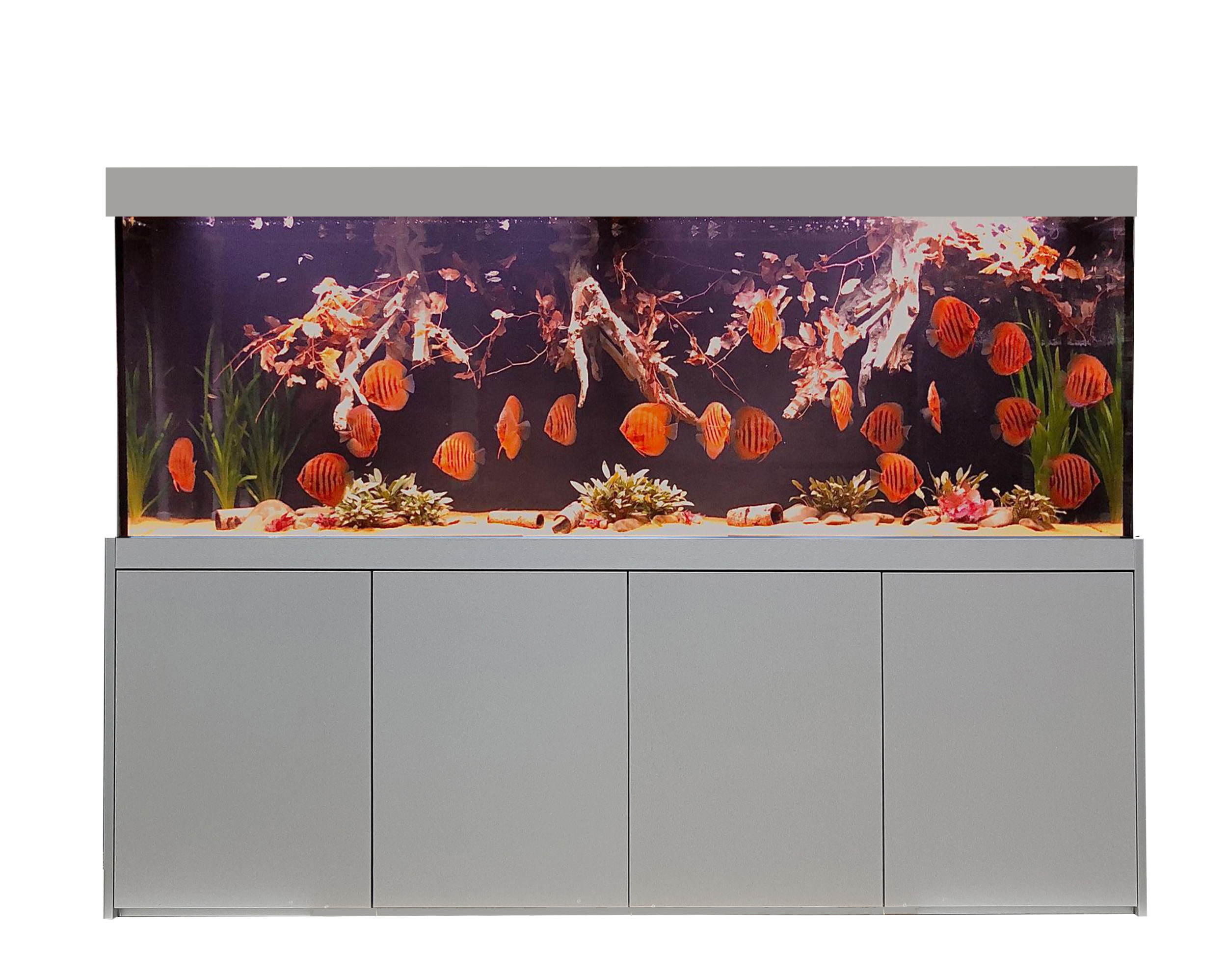 Prestige-Star 160 cm
