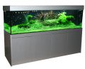 Prestige-Star 250 cm