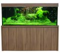 Premium-Star 160 cm