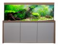Premium-Star 250 cm