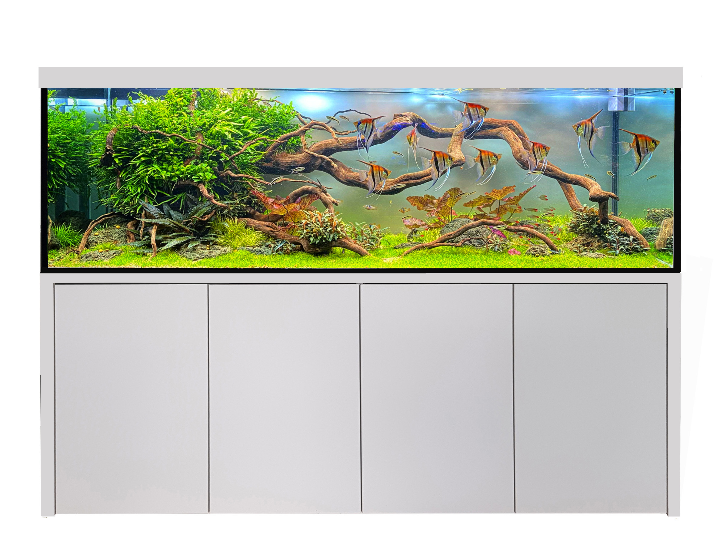 Dezent 200 cm