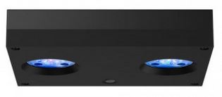 Aqua Illumination LEDs
