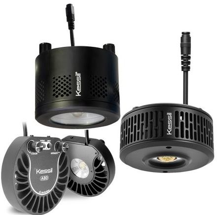 Kessil LEDs