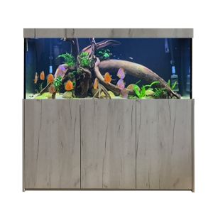 Themenaquarium Diskuswelten