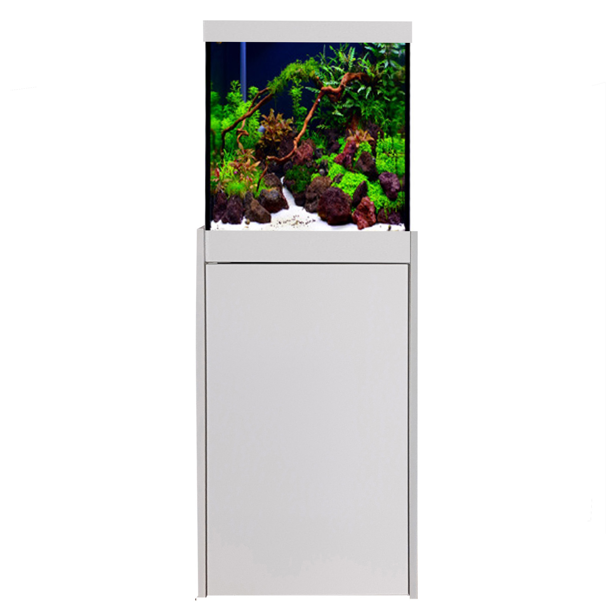 Prestige-Star unter 100 cm